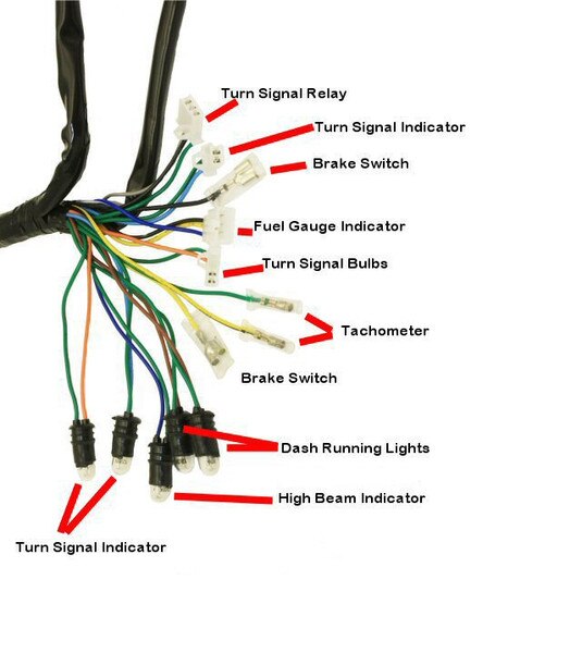 Complete Gy6 Wire Harness Electrical Street Scooters
